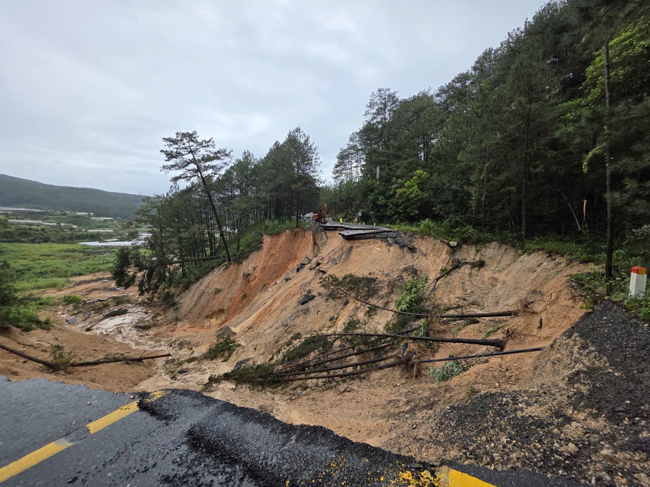 Alunecarea de teren 4 - Copiere