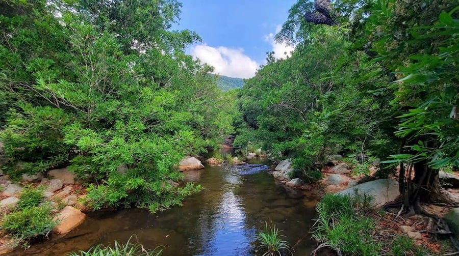 Du khách thư giãn bên dòng suối Lồ Ồ trong lành.