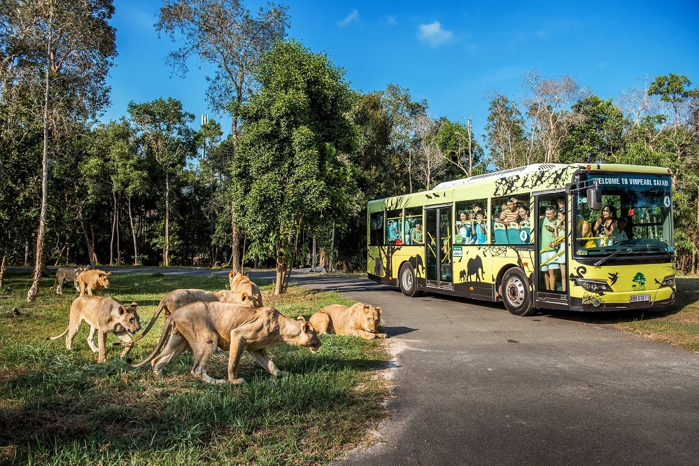 Tùy vào sở thích, bạn có thể chọn tour khám phá Nam Đảo sôi động hay Bắc Đảo hoang sơ với nhiều trải nghiệm hấp dẫn