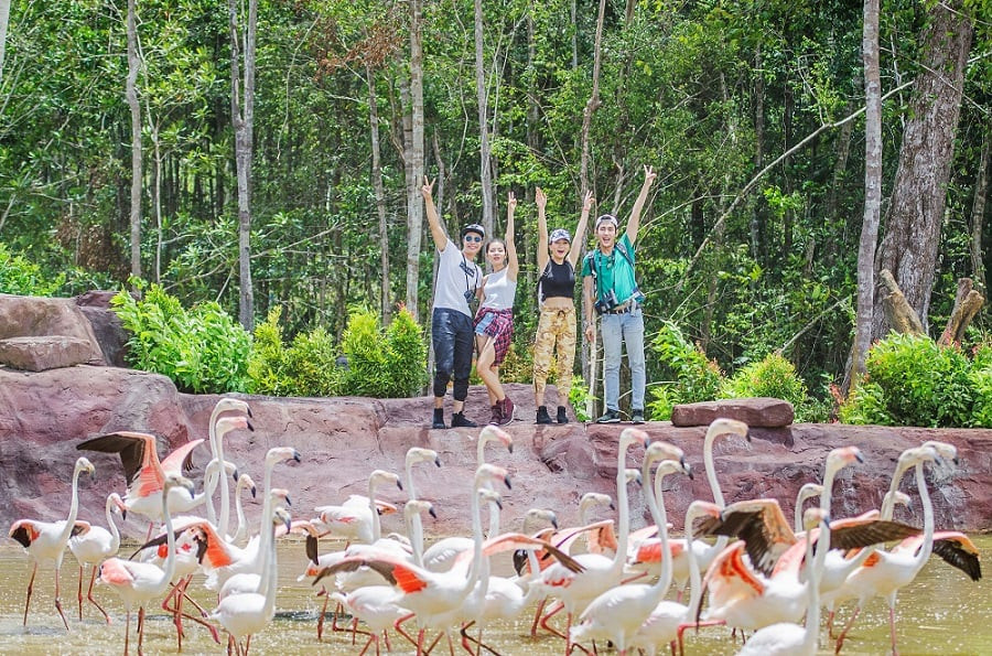 Vinpearl Phú Quốc có mấy khu