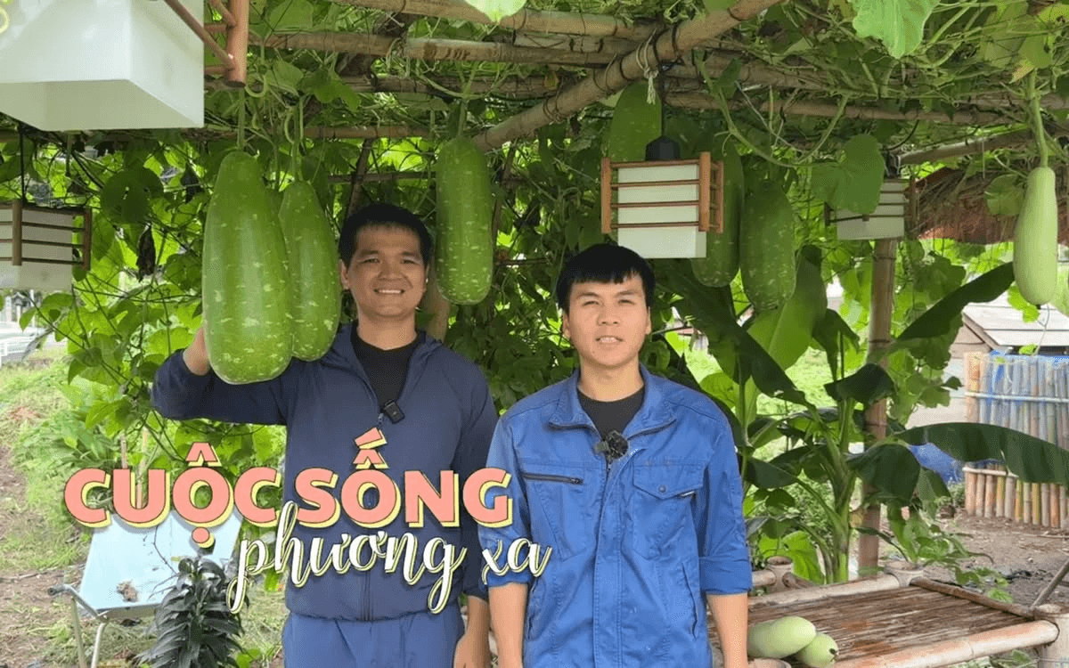 Ba chương trình mới kết nối người Việt toàn cầu trên VTV4 - Ảnh 3.