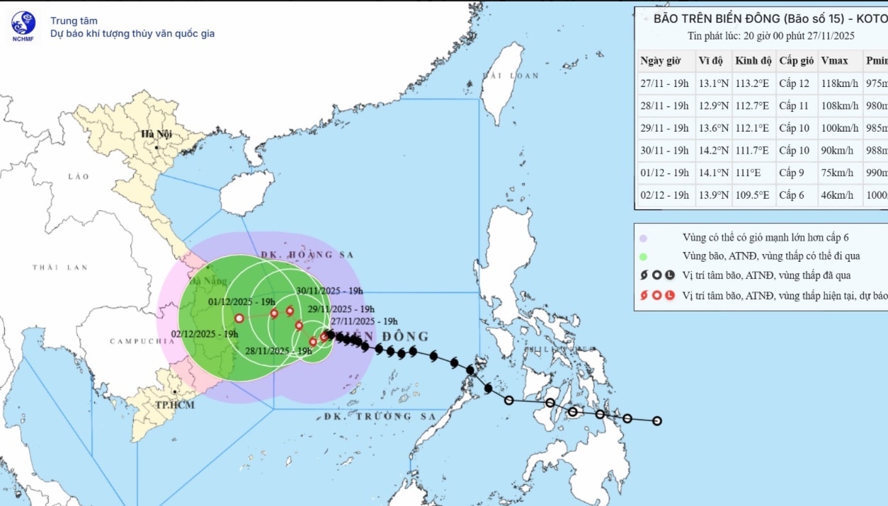 шторм номер 15