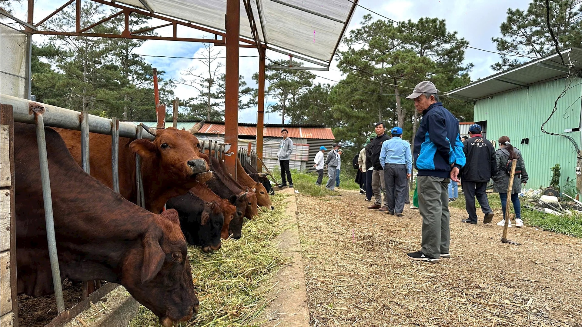 Gospodarstwa hodowlane muszą spełniać wymogi ochrony środowiska.