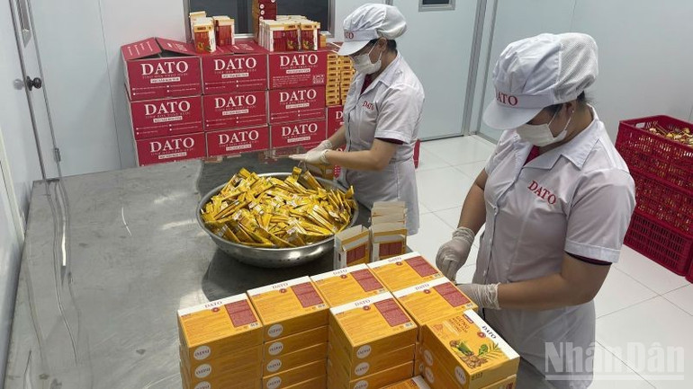 Xưởng đóng gói sản phẩm tại nhà máy DATO. ndo_br_hue3.jpg