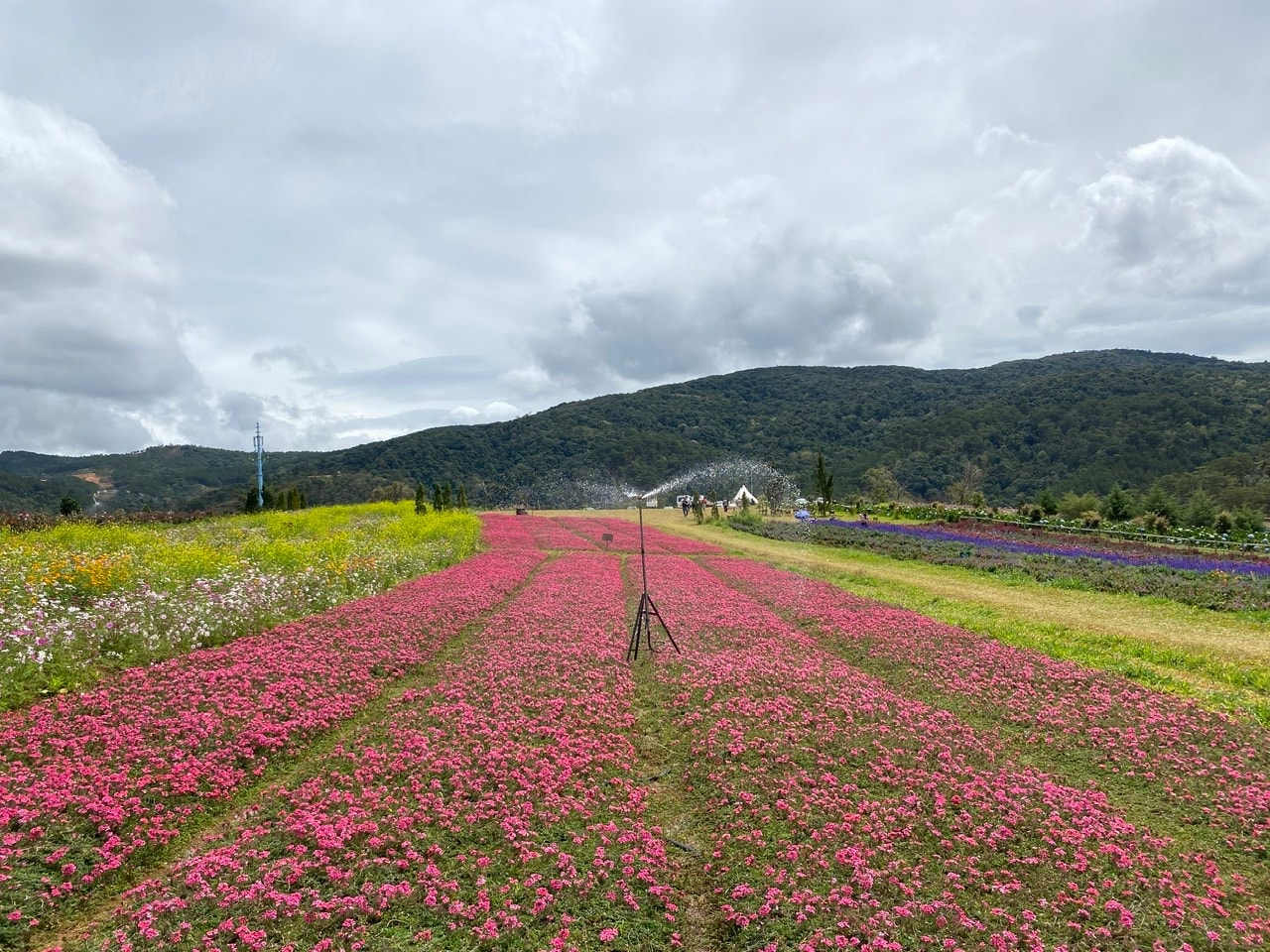 Die Pachtdauer für Waldflächen zur Nutzung als Gewerbegebiet, für Ökotourismus, Ferienanlagen und Unterhaltungseinrichtungen darf 30 Jahre nicht überschreiten.