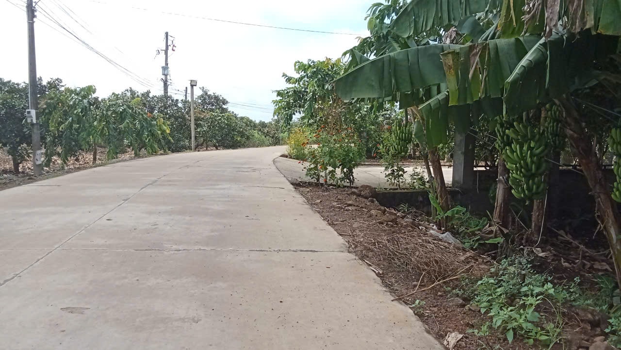 Estrada da vila de Tra Tan