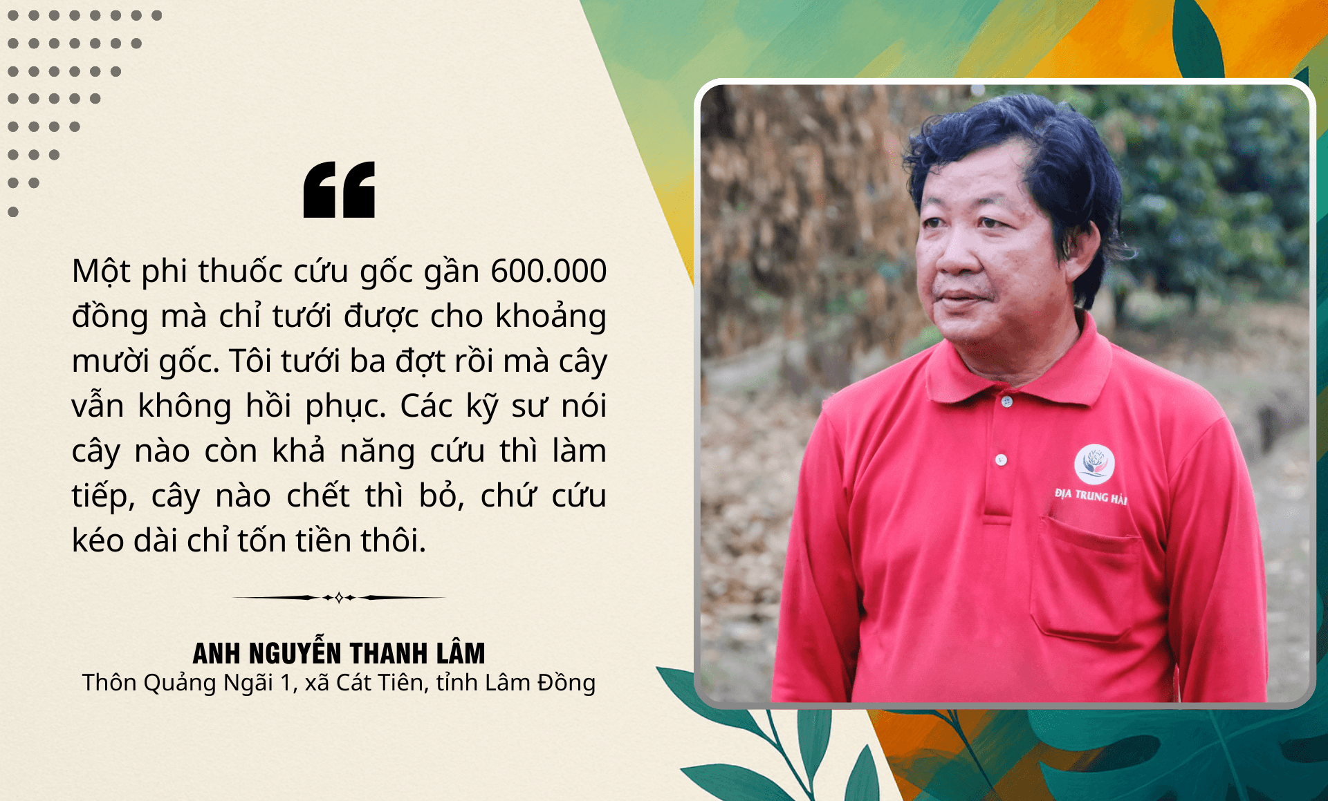 thanh lam pc