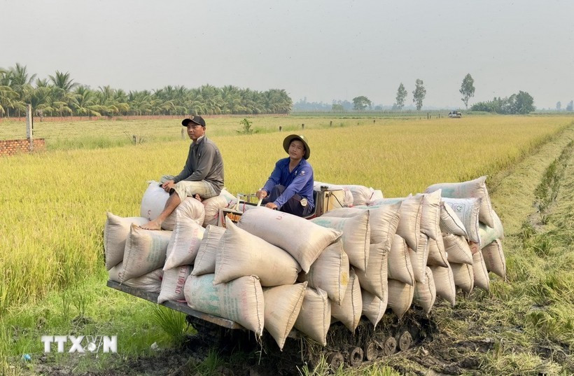 Bộ Nông nghiệp và Môi trường kiên định mục tiêu tăng trưởng ngành 4% trong năm 2025. (Nguồn ảnh: TTXVN)