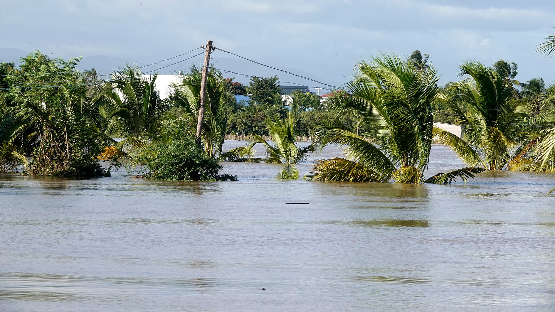 Kebun buah dan sayur di desa 2, komune Hong Son terendam air dalam-dalam (foto oleh N. Lan) (1)