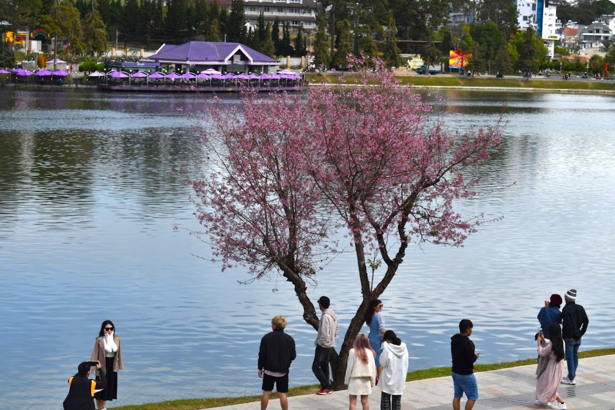 Phường Xuân Hương- Đà Lạt có lợi thế cảnh quan thiên nhiên thơ mộng, khí hậu ôn hòa để phát triển du lịch xanh (2)