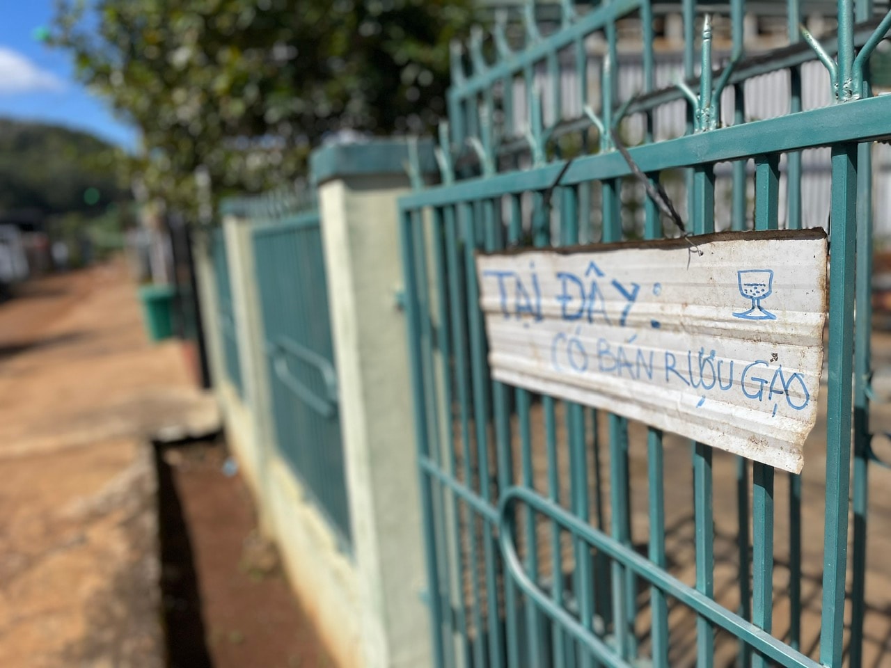 Konut alanlarında el yapımı şarap satışı