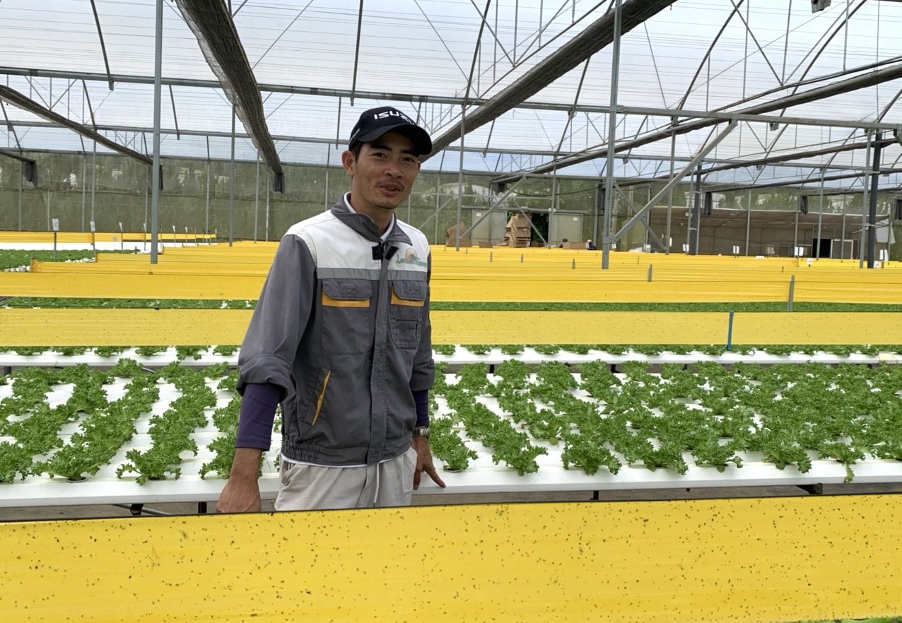 ہائی ٹیک زراعت ان اہم صنعتوں میں سے ایک ہے جو صوبہ لام ڈونگ میں سرمایہ کاری کو راغب کرتی رہتی ہے۔