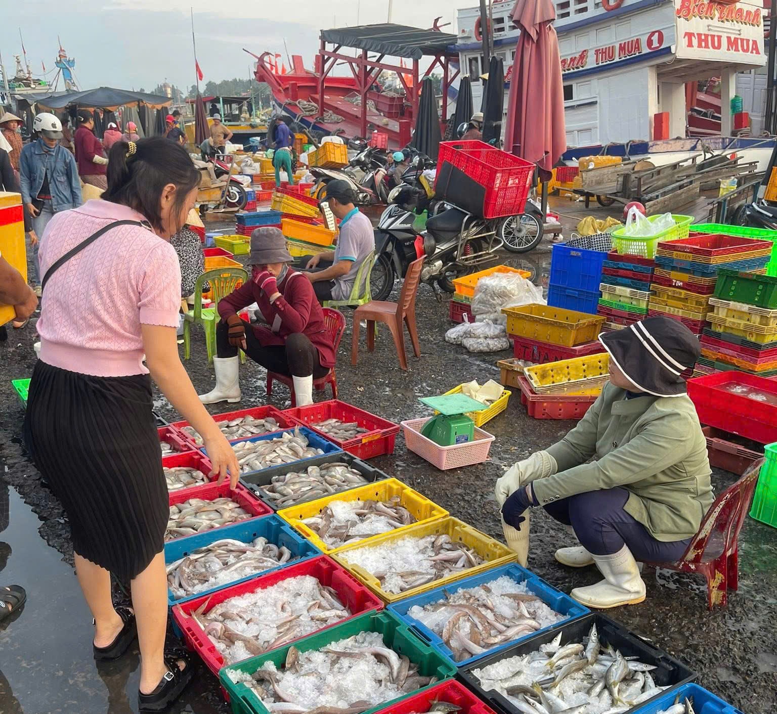 عند قدوم السياح إلى فان ثيت، غالبًا ما يستقلون قاربًا لزيارة وشراء المأكولات البحرية (1).jpg