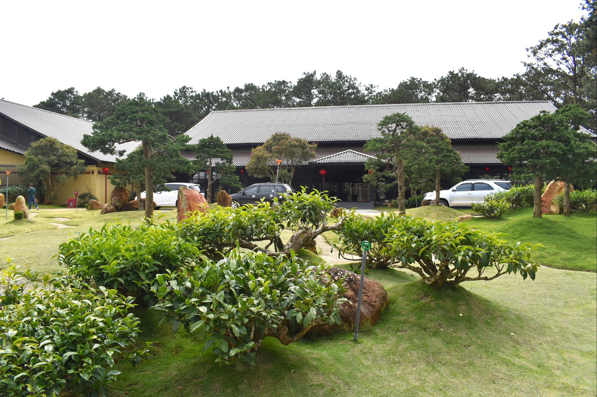 Công ty Cổ phần Long Đỉnh đầu tư sản xuất, kinh doanh trà ô long gắn với du lịch canh nông trên tổng diện tích 3 ha tại Cụm Công nghiệp Phát Chi, phường Xuân Trường- Đà Lạt, tỉnh Lâm Đồng