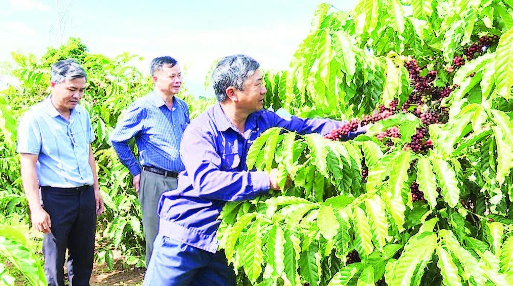 Củng cố nền tảng chính trị từ cơ sở