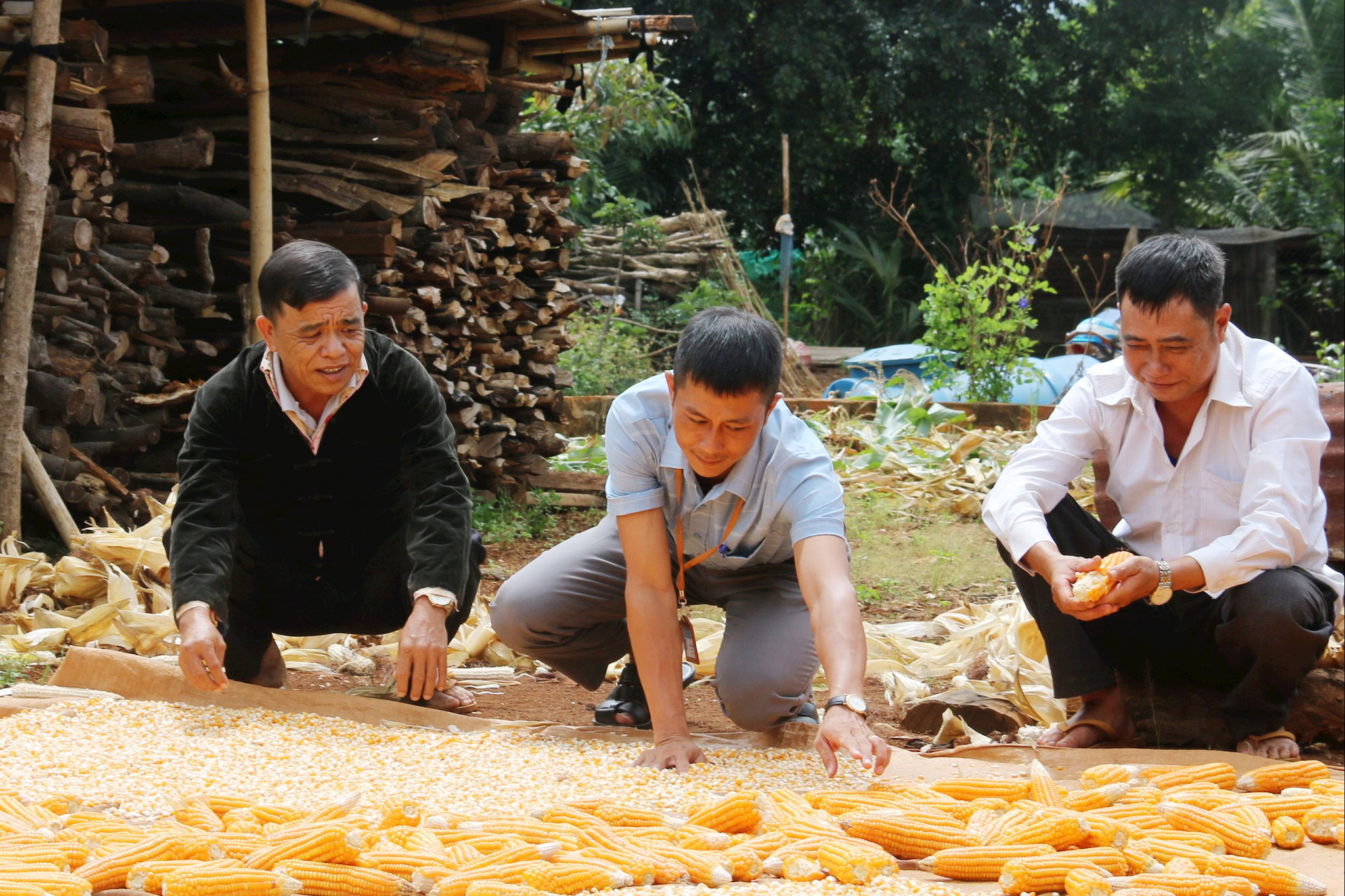 Ông Hiền 6