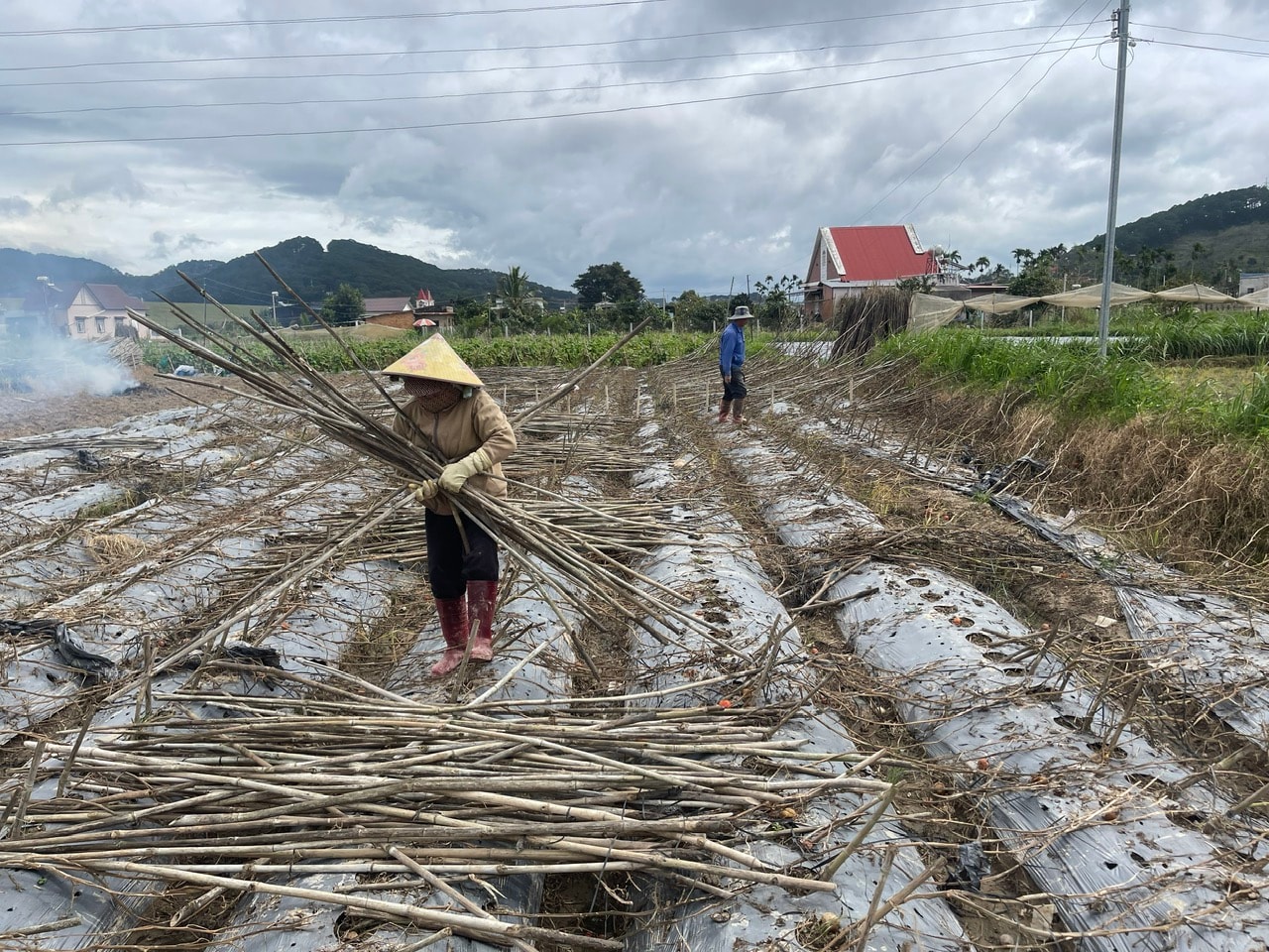 Ploaie și inundații.j7pg