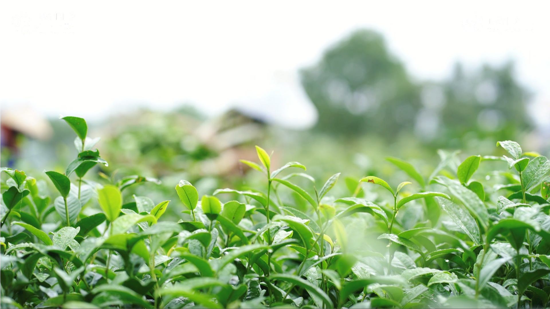 Skjermbilde tatt 13.12.2025 kl. 10:49:37