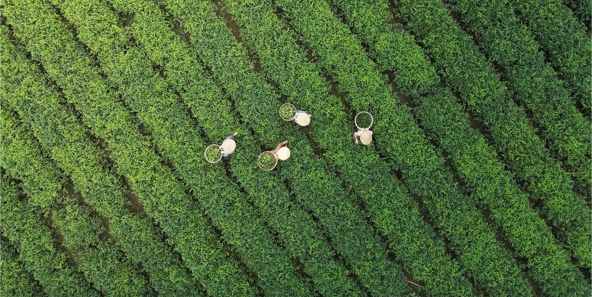 Skjermbilde tatt 13.12.2025 kl. 10:49:50