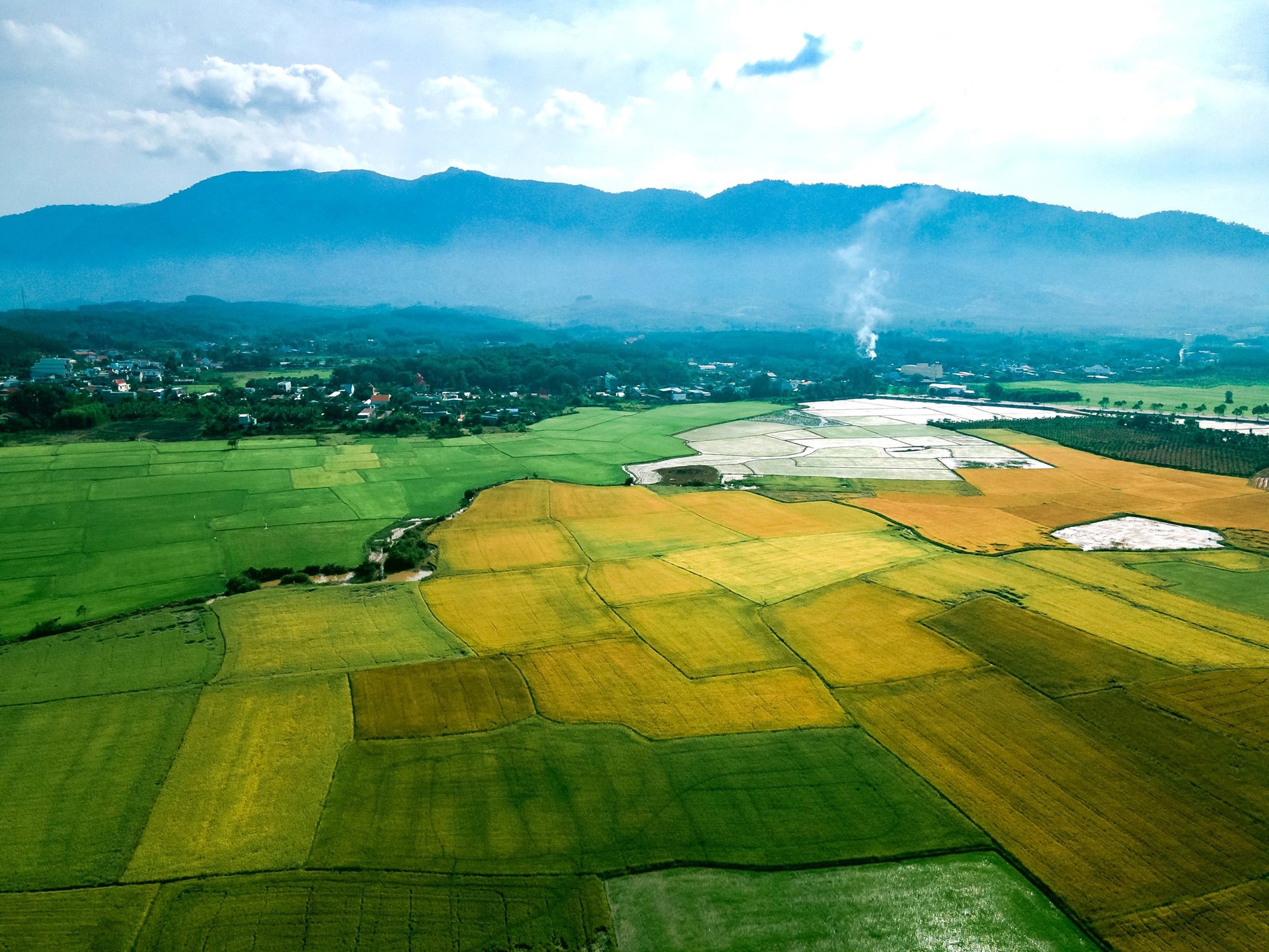 Orezării în orașul Lac Tanh 01