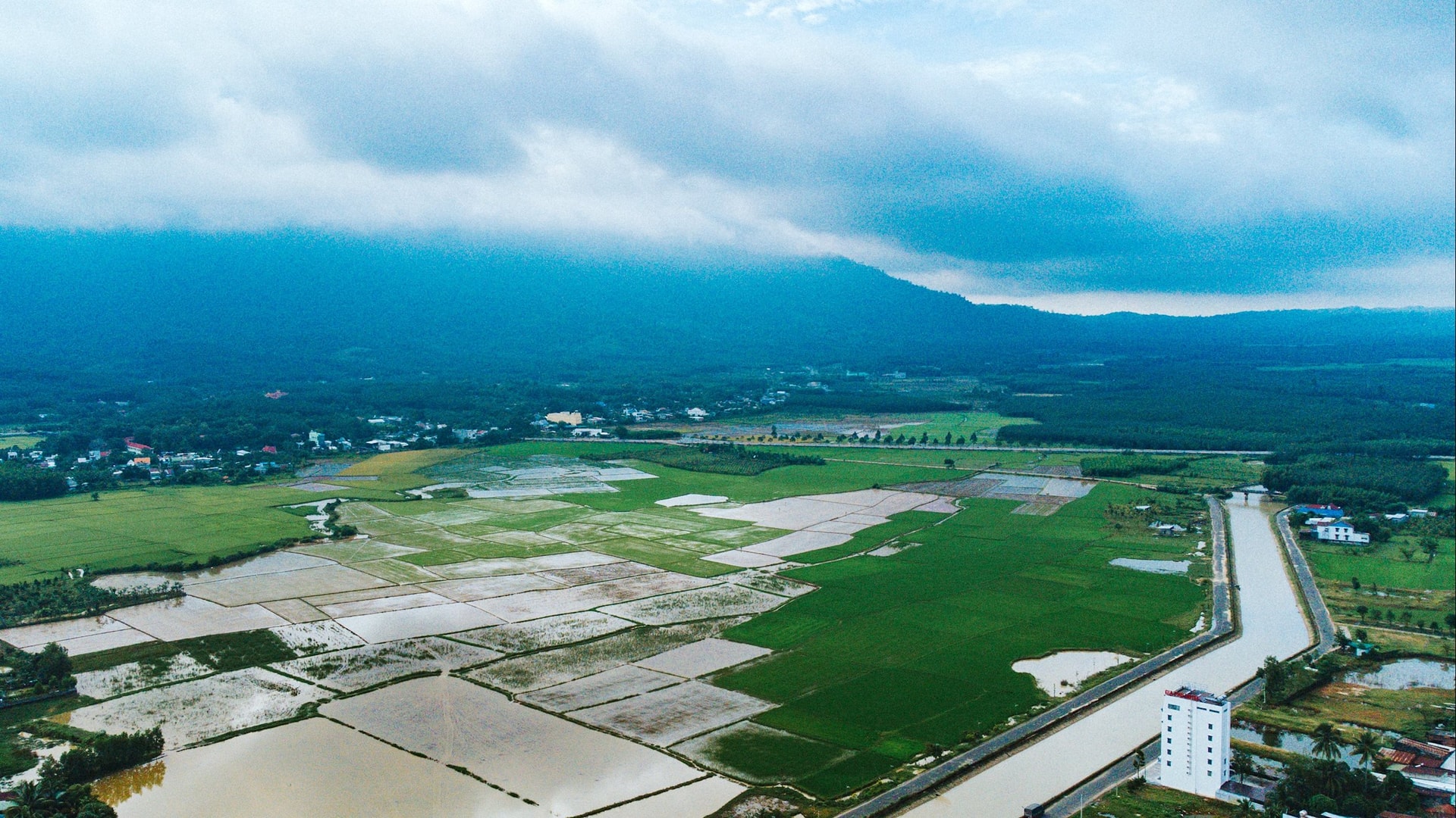 Orezării în orașul Lac Tanh 03