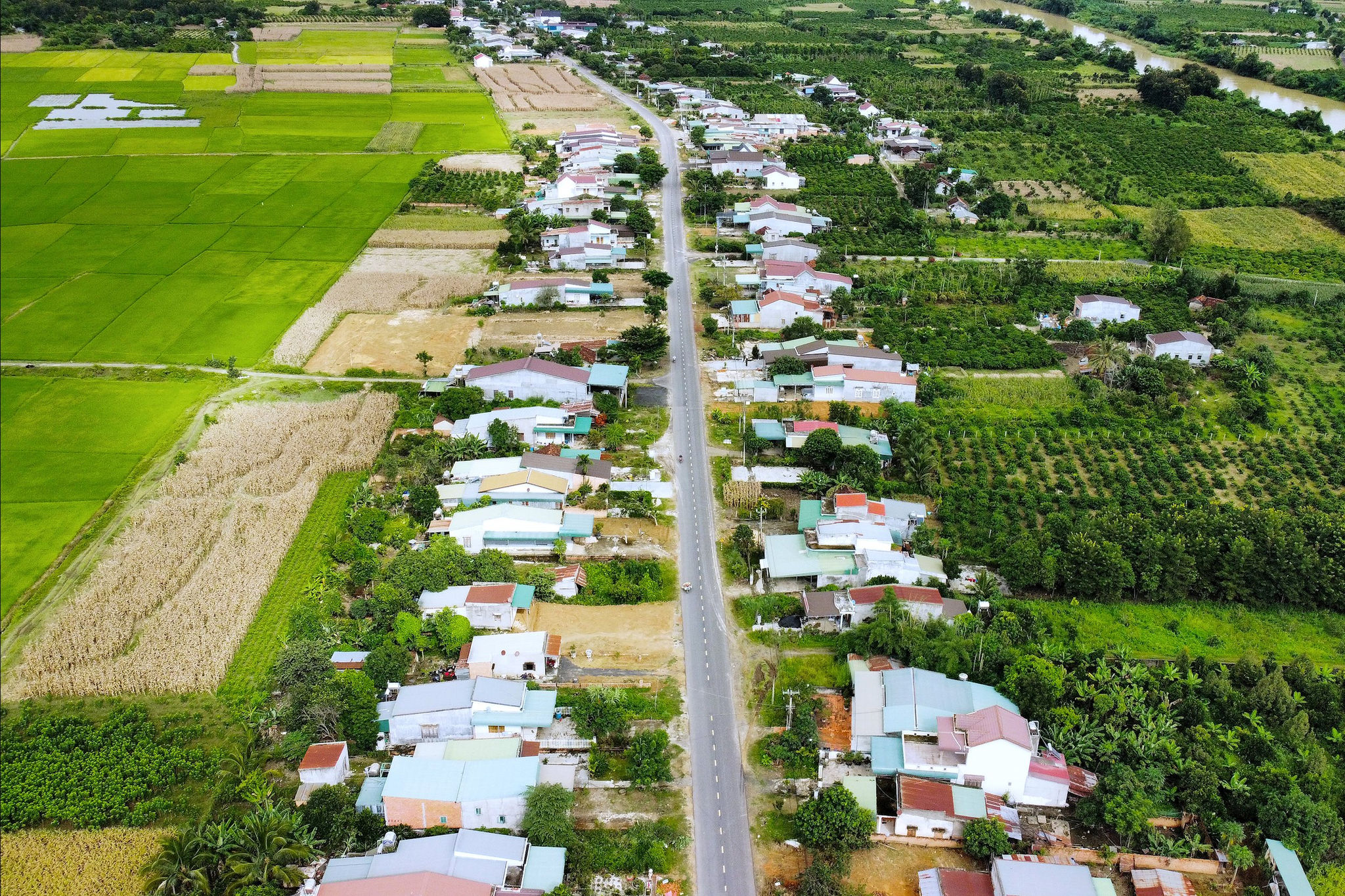 anh quang phu