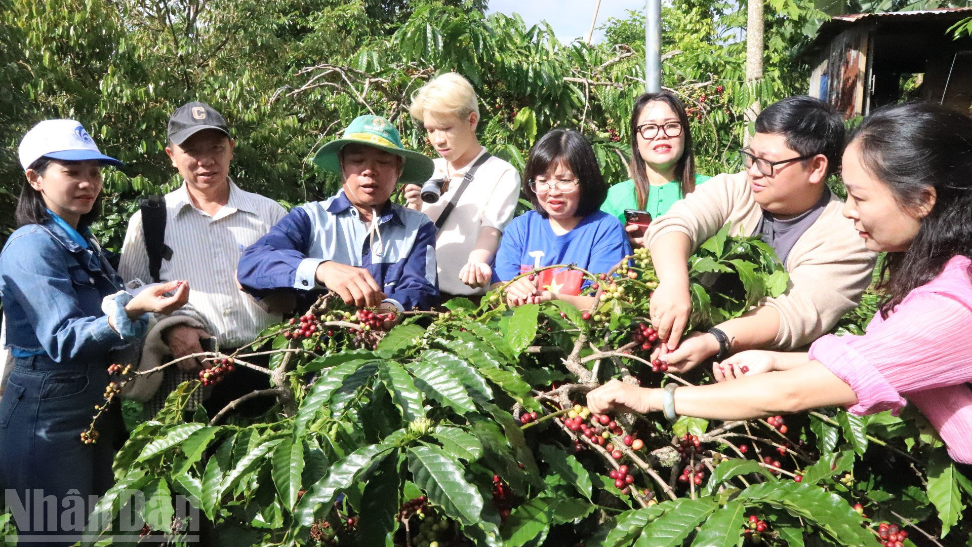 Đắk Lắk là ndo_bl_img-8592-3349.jpg