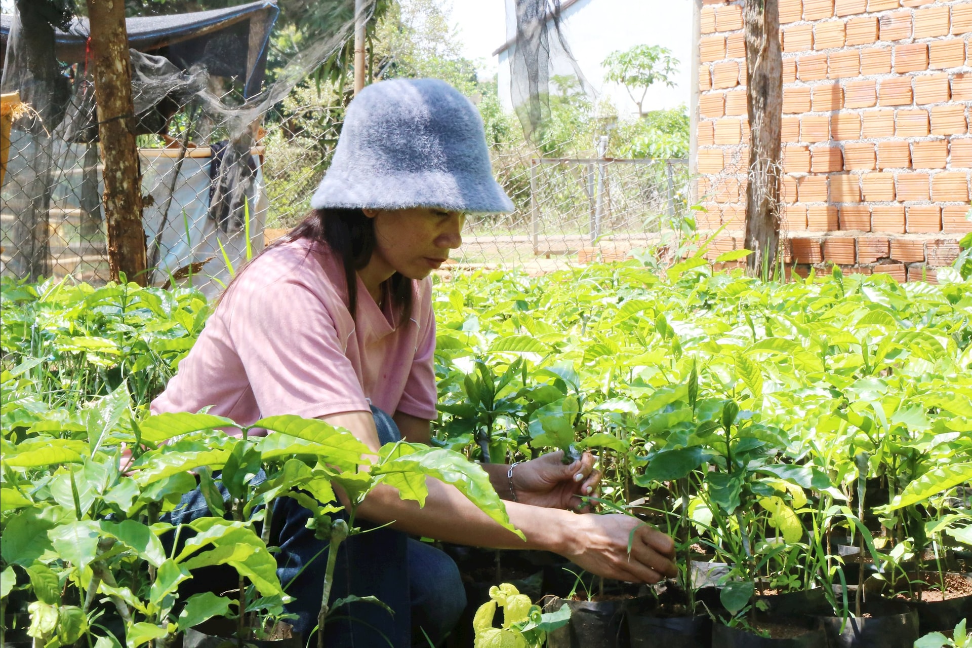 ច្បាប់ចម្លងនៃរូបភាពទី 17