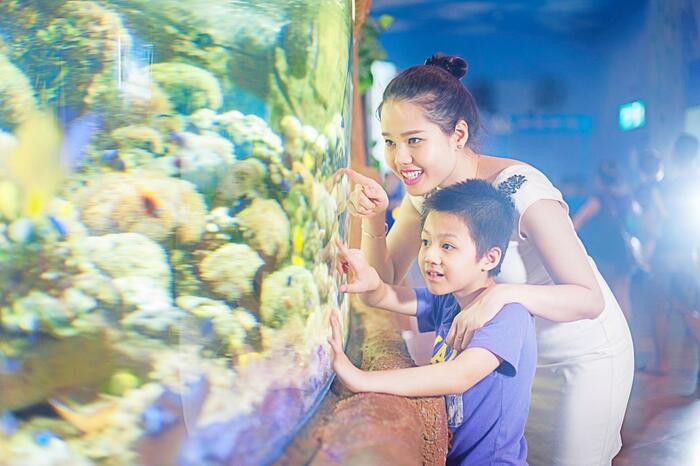 Thủy cung Times City với đường hầm mái vòm và hàng ngàn sinh vật biển