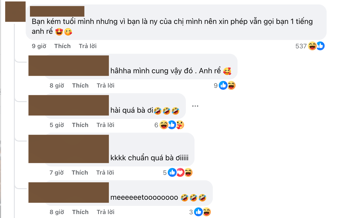 Người hâm mộ Mỹ Tâm gọi Mai Tài Phến là anh rể trong phần bình luận.