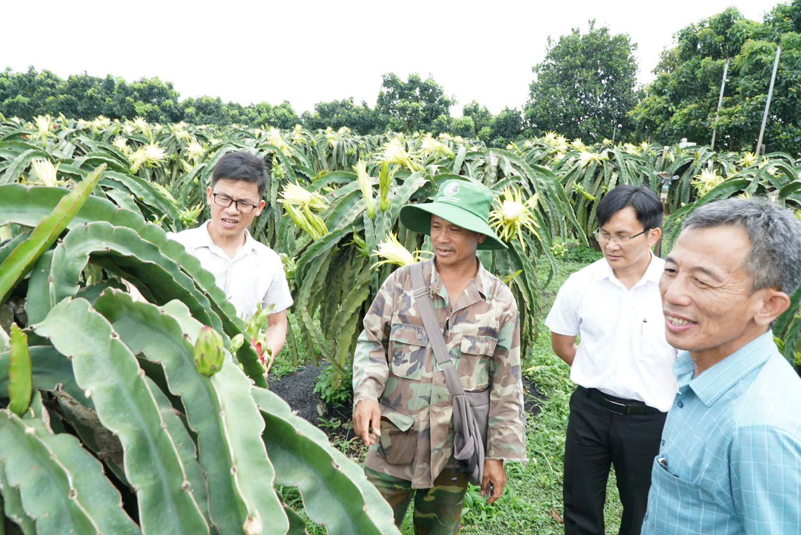 nông thôn mới 