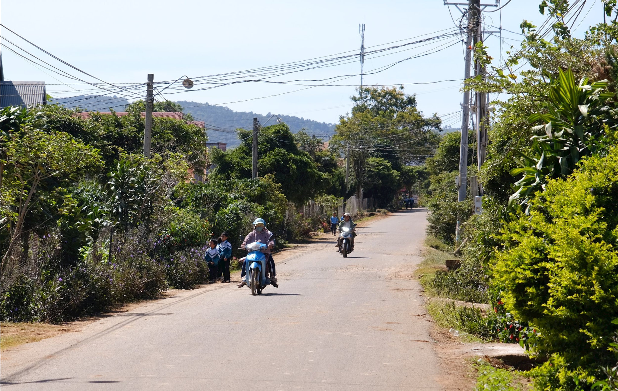 dscf7512.jpg