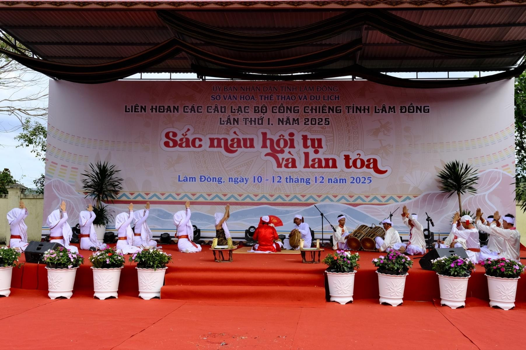 chon-14-1-.jpg