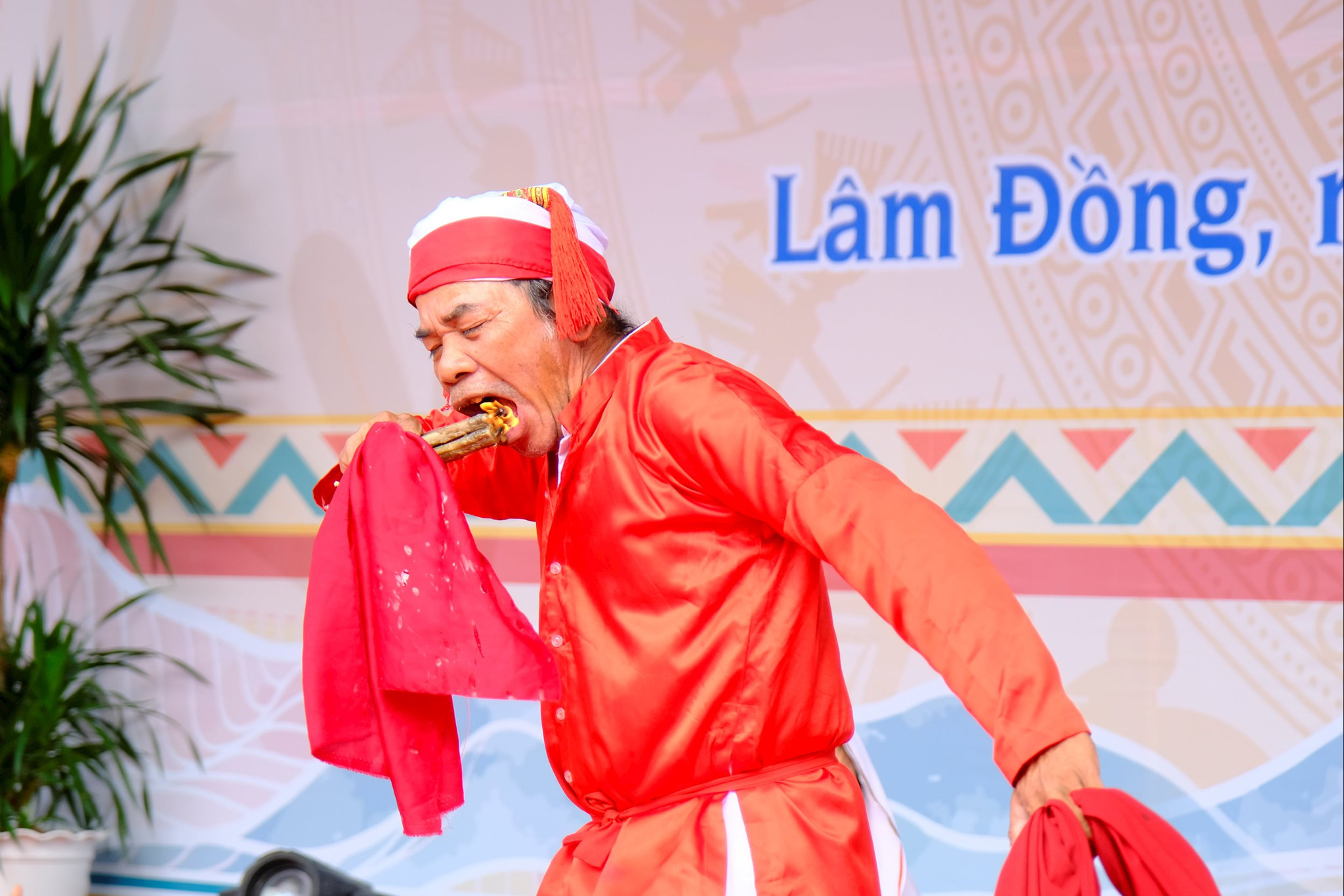 chọn 8