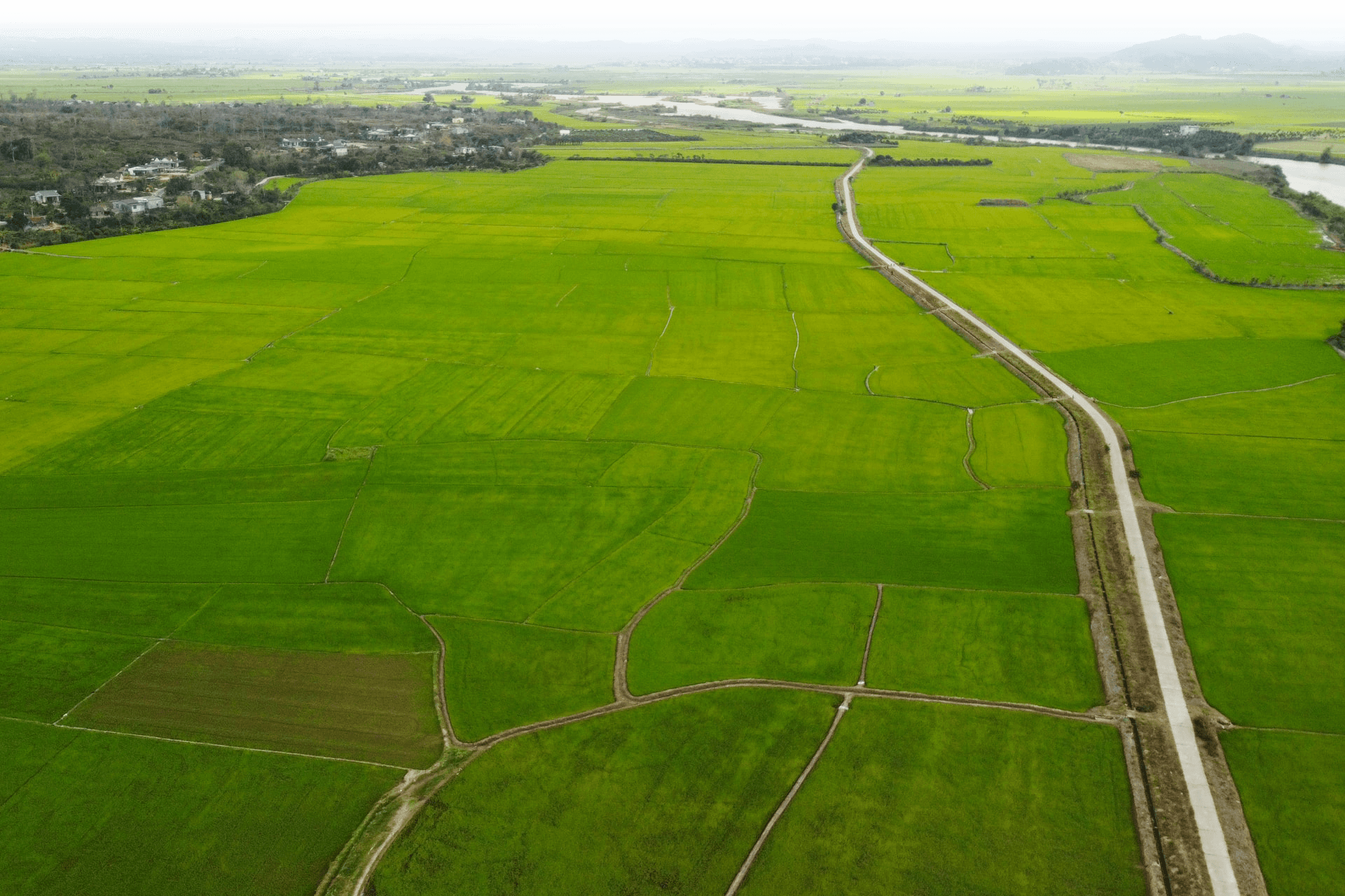 a-dji_0722.png