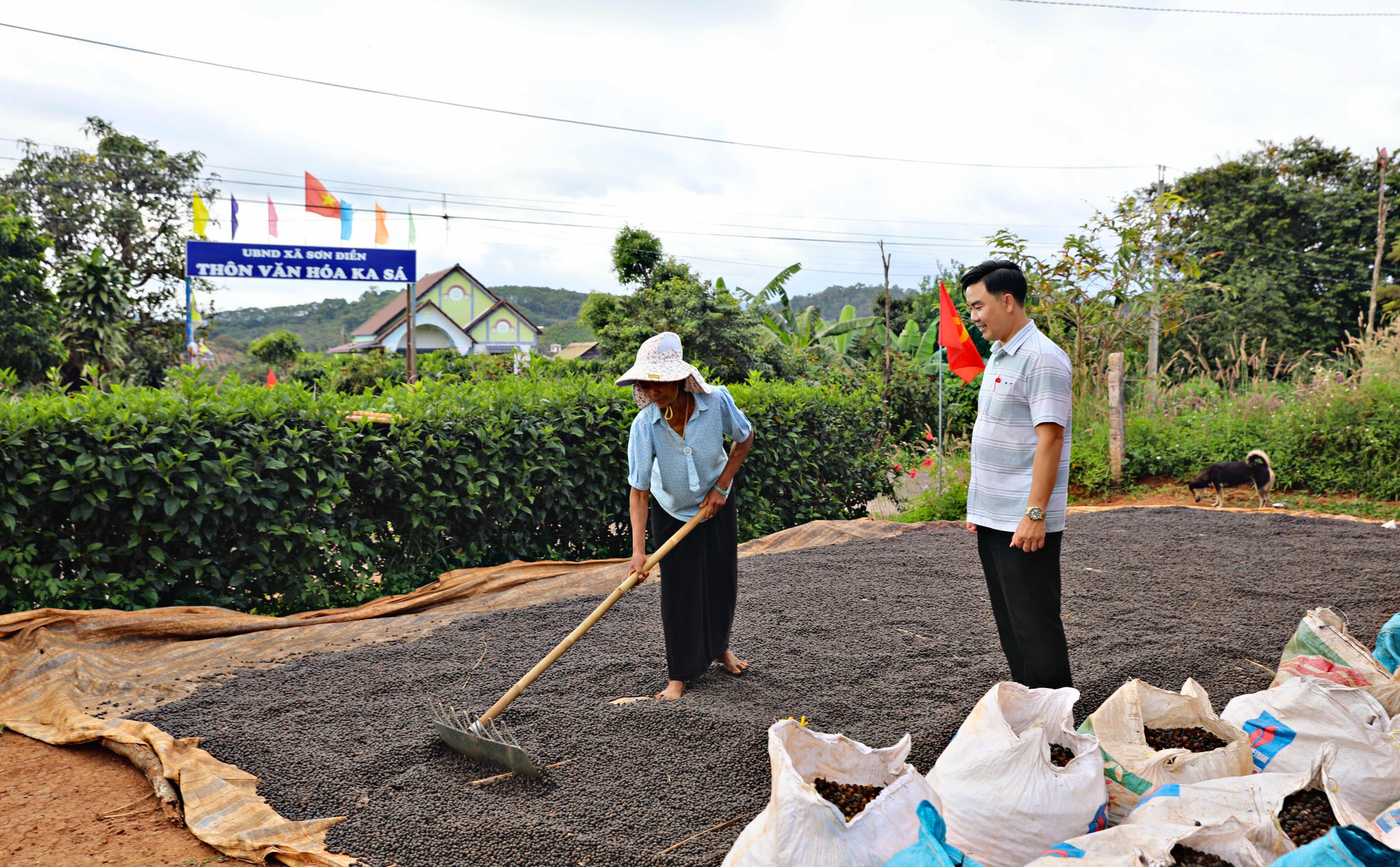 Phó Chủ tịch UBND xã Sơn Điền Nguyễn Hữu Cường thăm hỏi tình hình sản xuất hộ dân Ka Hanh, thôn Ka Sá. Ảnh: Chính Thành