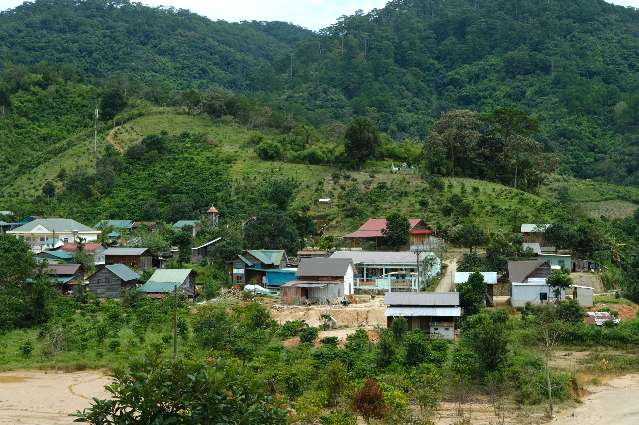 dscf3231.jpg
