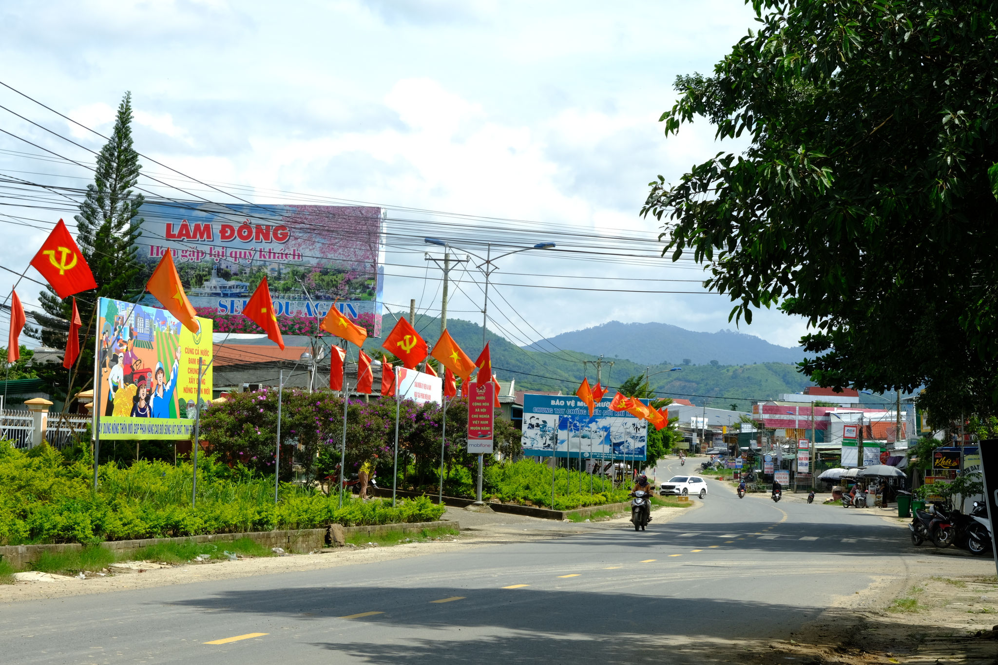 dscf4133.jpg