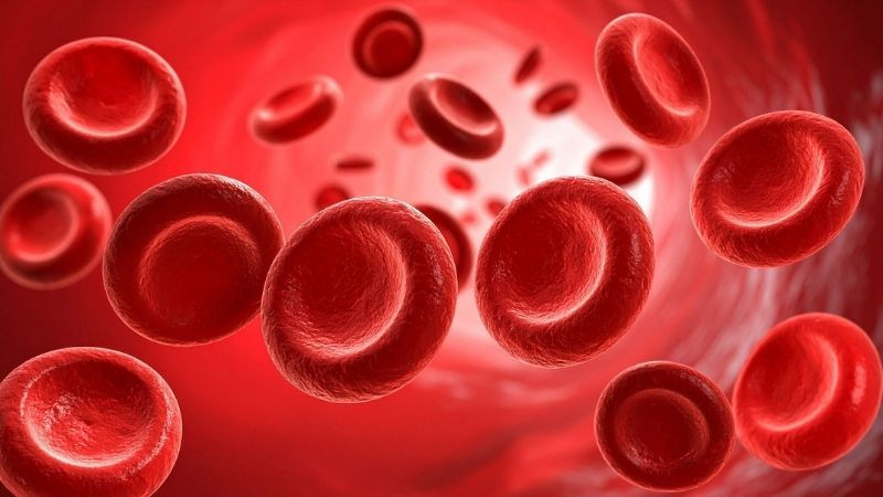 Hemoglobin chính là yếu tố tạo nên sắc độ đỏ, hồng hoặc xanh lam ẩn dưới da