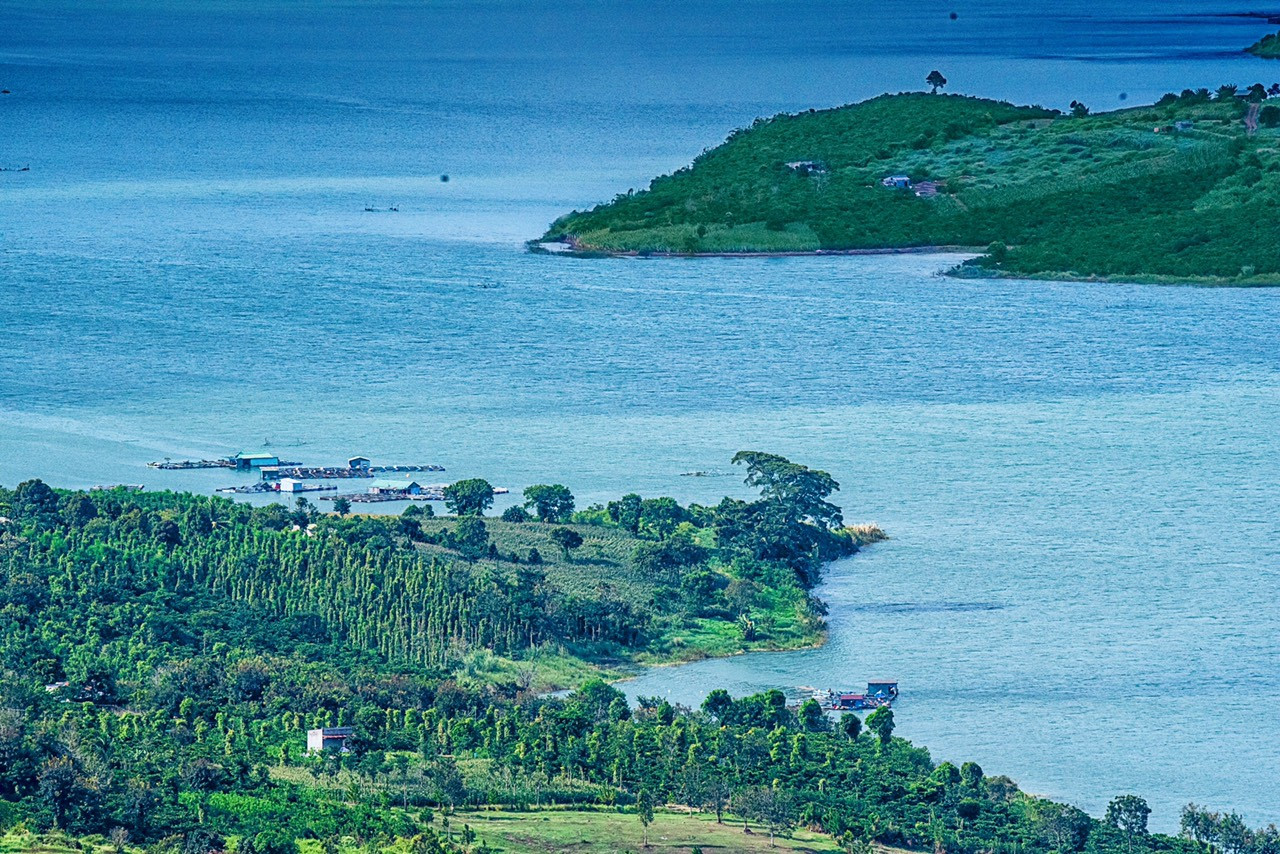 a75.jpg