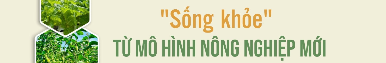 TÍT PHỤ PC (2080 x 1080 px)