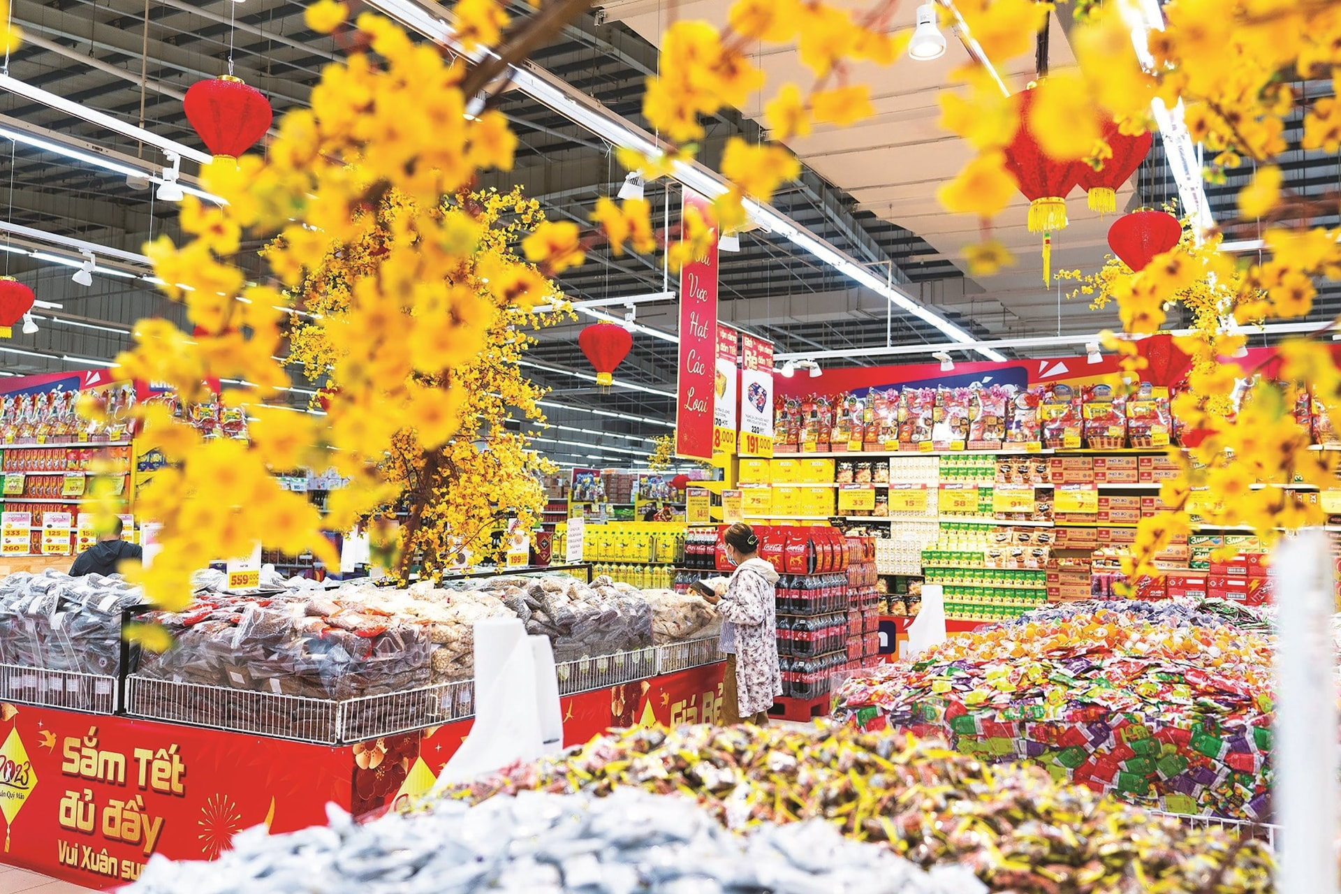 Người dân mua sắm hàng hóa tại siêu thị TP.HCM chuẩn bị cho dịp Tết