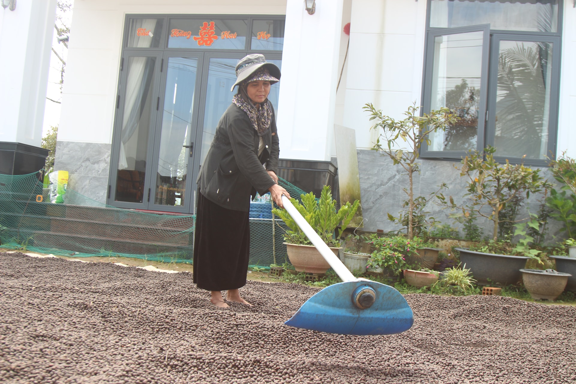 Mevrouw Ka Luc, uit de gemeente Bao Lam 3, geniet van een comfortabel leven dankzij de koffieteelt.