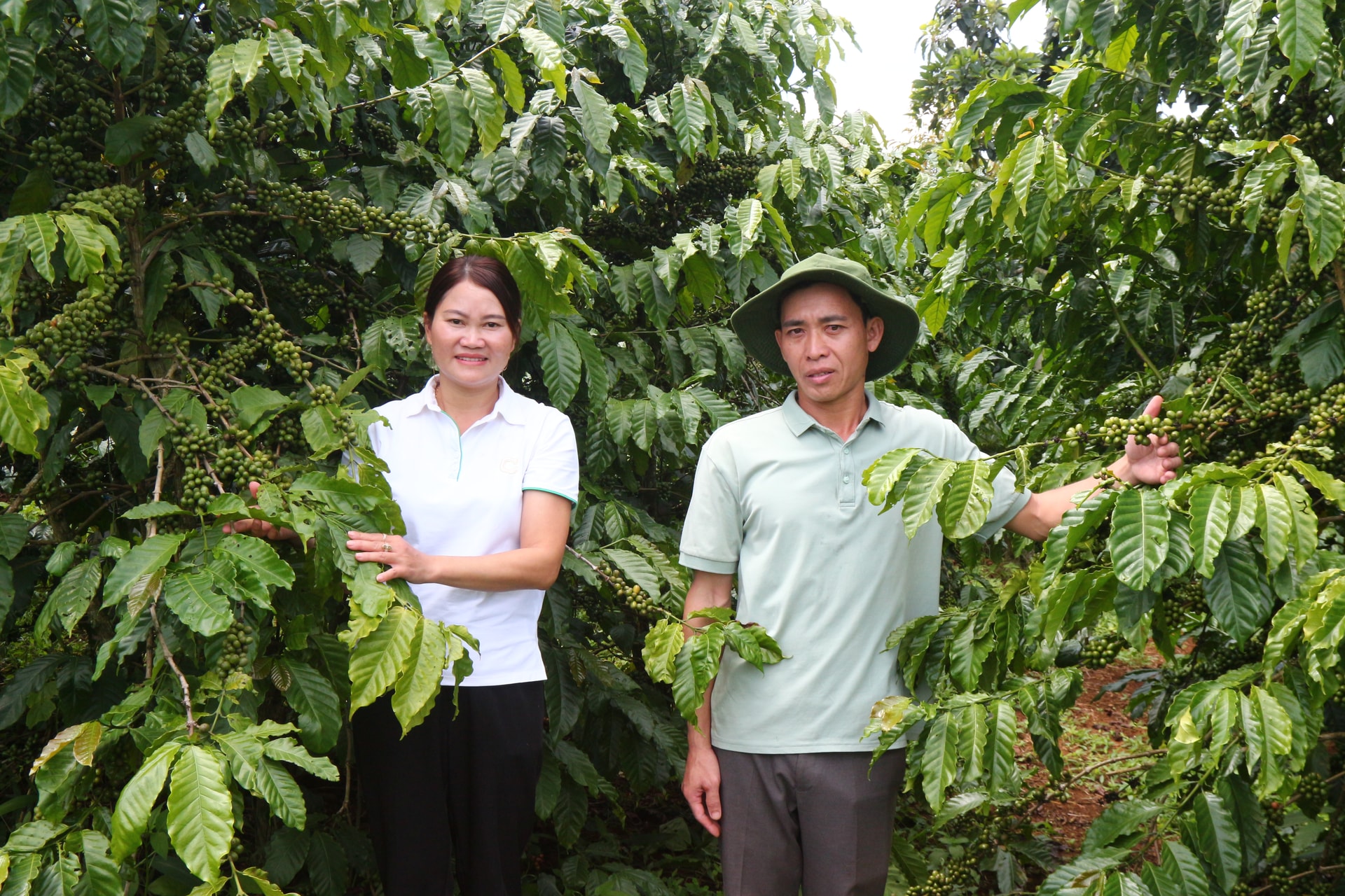 Het dorp Tay in Bao Lam 1, met miljonairs onder de boeren dankzij de koffieteelt.