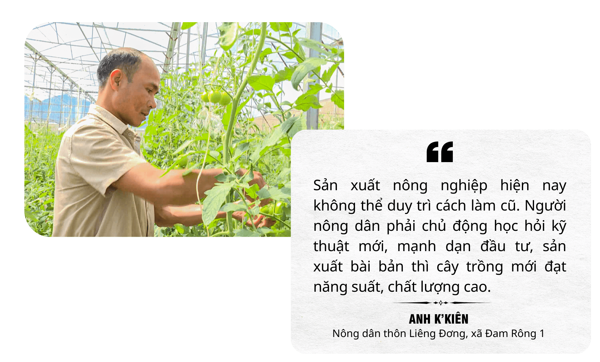 Mr Kien 1