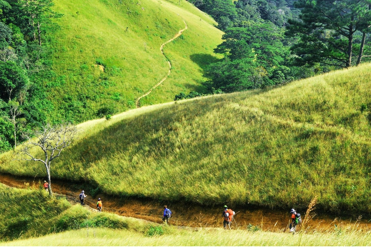 trekking.jpg