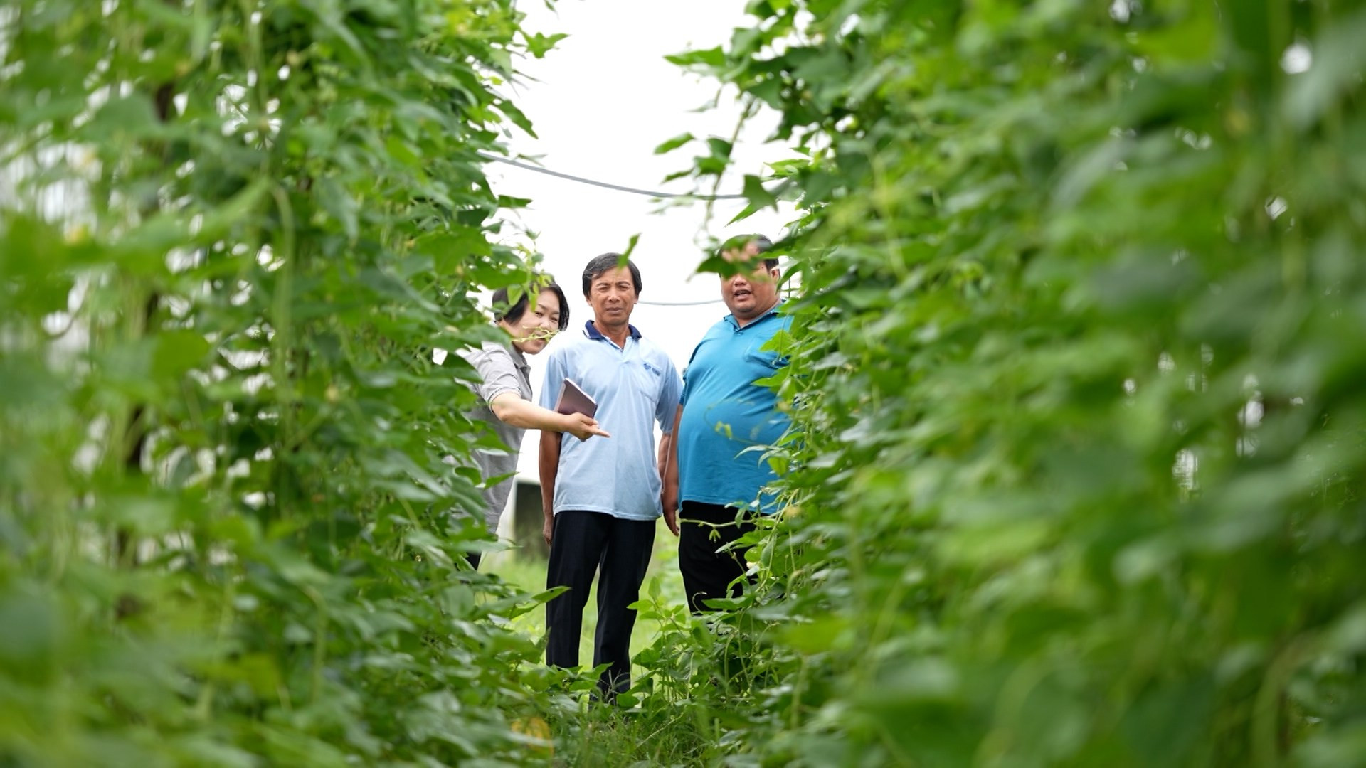Mayu Ino đồng hành cùng nông dân Việt Nam