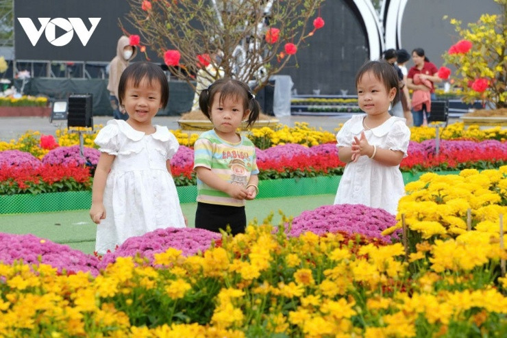 Sa Đéc rực rỡ sắc màu ngày đầu năm mới - 11