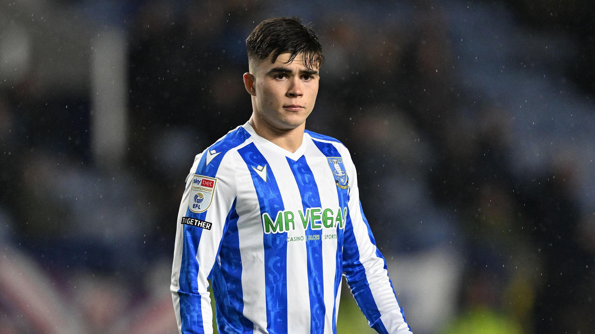 Harry Amass thi đấu ấn tượng trong màu áo Sheffield Wednesday
