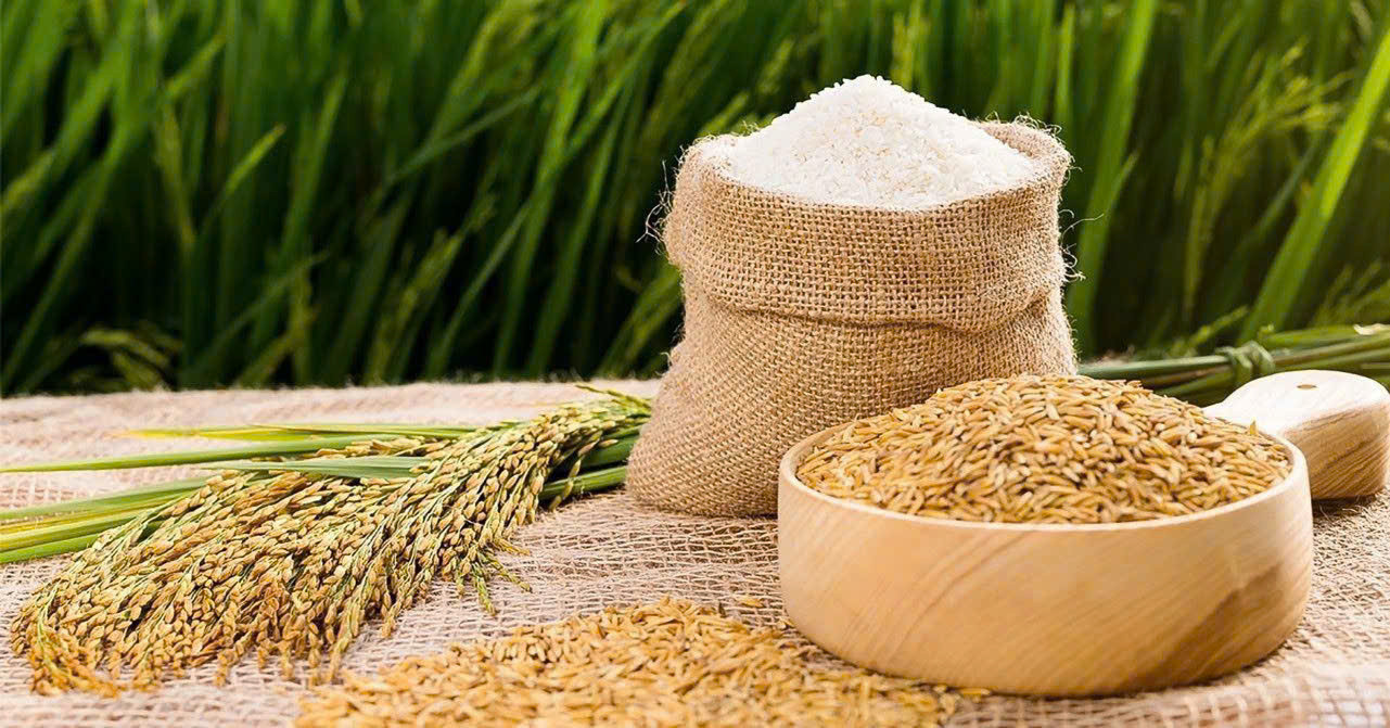 Giá lúa gạo hôm nay 6/1 Giá gạo xuất khẩu đảo chiều tăng